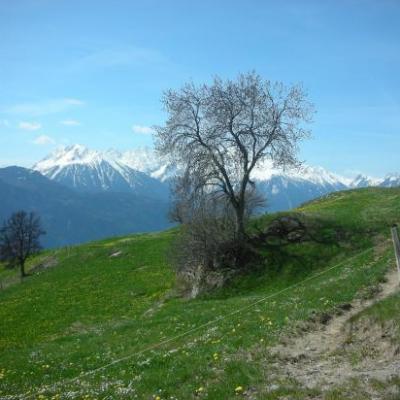Pré